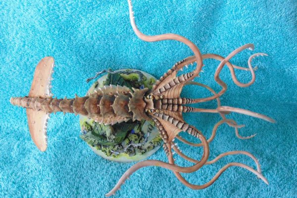 Kraken ссылка krakens13 at