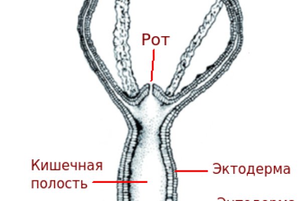 Кракен ссылка на тор официальная онион