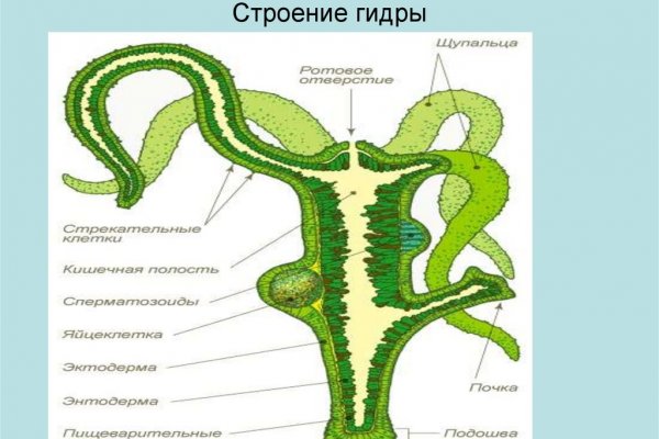 Кракен обход